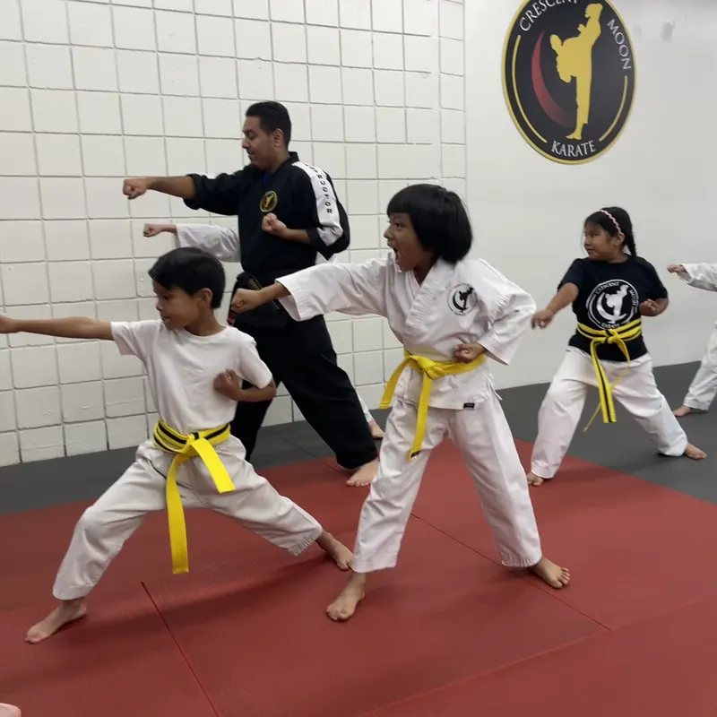 Students practicing punches in a Kids Karate class